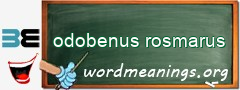 WordMeaning blackboard for odobenus rosmarus